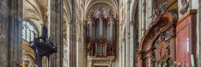 Nederlandse orgelbouwer